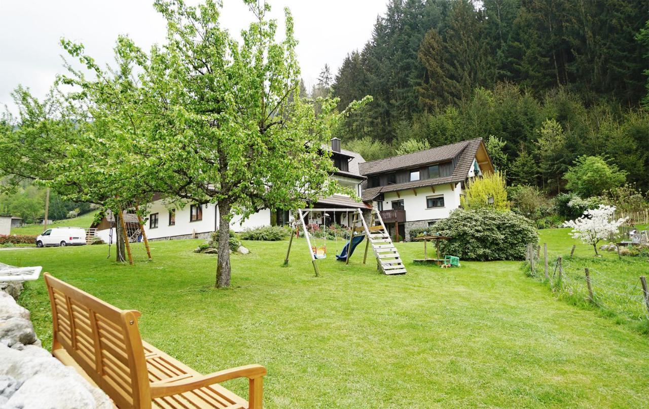 Apartment Hoellkopf - Stubenhof, Black Forest