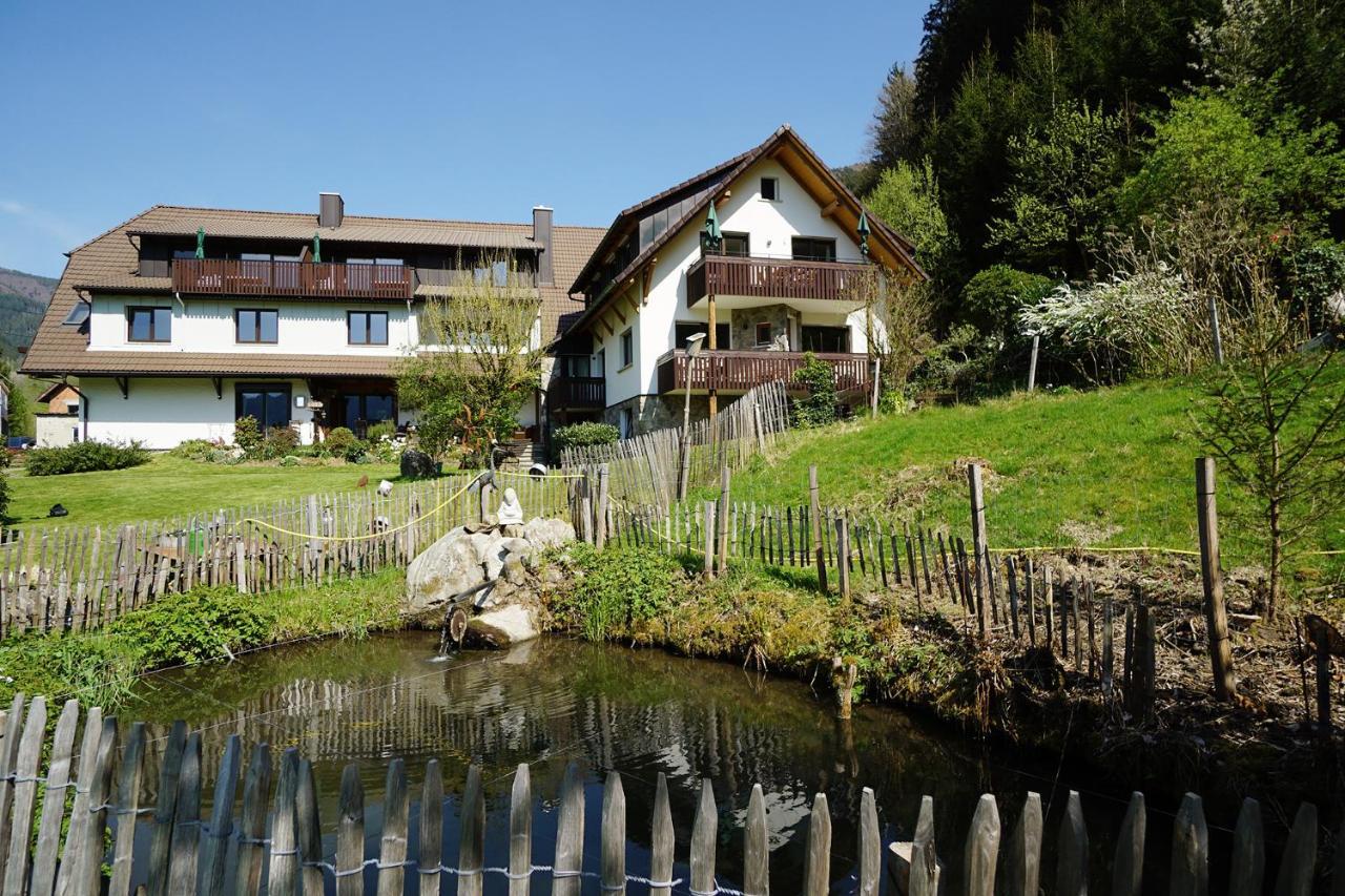 Hoellkopf - Stubenhof, Black Forest Apartment
