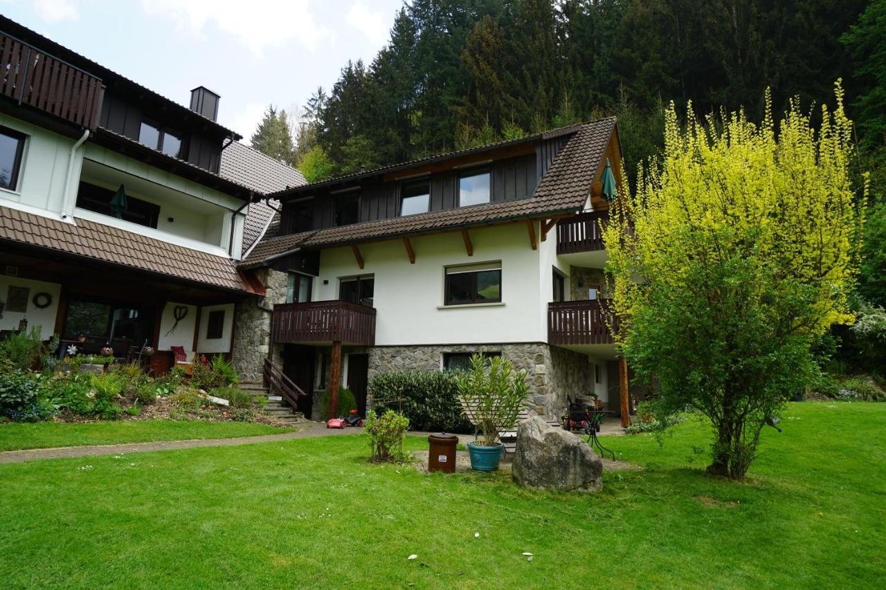 Hoellkopf - Stubenhof, Black Forest *
